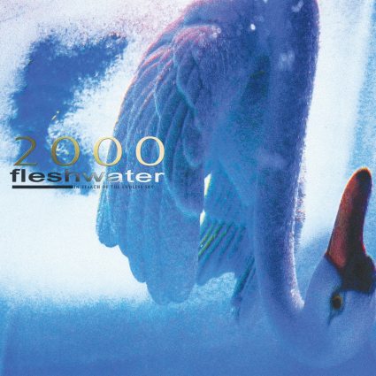 Fleshwater - 2000: In Search Of The Endless Sky (Vinyle Neuf) main image 1